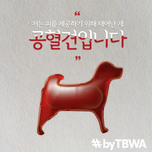 TBWA가 소셜채널을 통해 문제를 제기한 공혈견 캠페인.